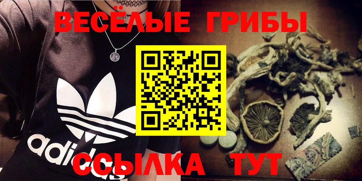 что такое   Вход с VPN  Россошь  Псилоцибиновые грибы MAGIC MUSHROOMS 