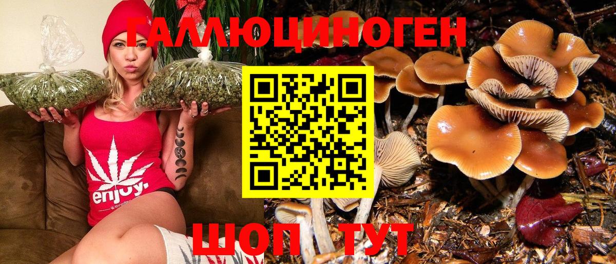 даркнет сайт  Россошь  Галлюциногенные грибы Magic Shrooms 