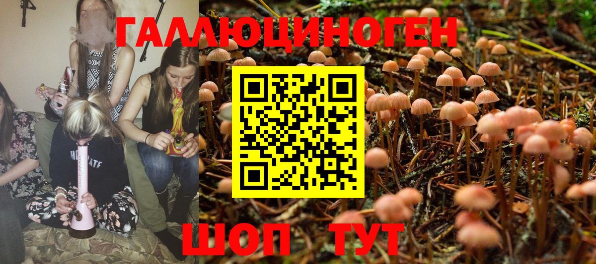 Псилоцибиновые грибы GOLDEN TEACHER Россошь